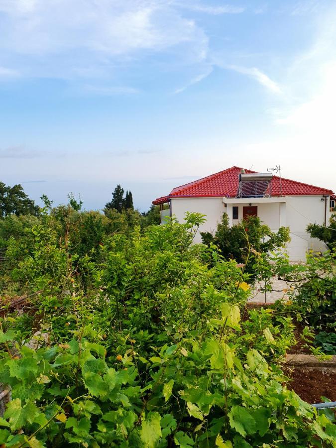 Xheko Rooms Dhërmi Εξωτερικό φωτογραφία