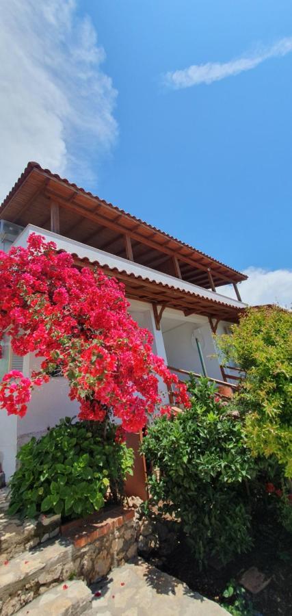 Xheko Rooms Dhërmi Εξωτερικό φωτογραφία