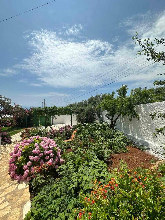 Xheko Rooms Dhërmi Εξωτερικό φωτογραφία